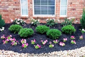 DIY Landscape Design – Want to save money by landscaping your yard but don’t know where to start? Planning your own landscape design can be overwhelming but these simple front yard landscaping ideas will give your yard a professional look without while staying on budget. #frontyardlandscapingideas #frontyardlandscapingideaswithstones #landscapearchitecture #smallfrontyard www.renovatedfaith.com