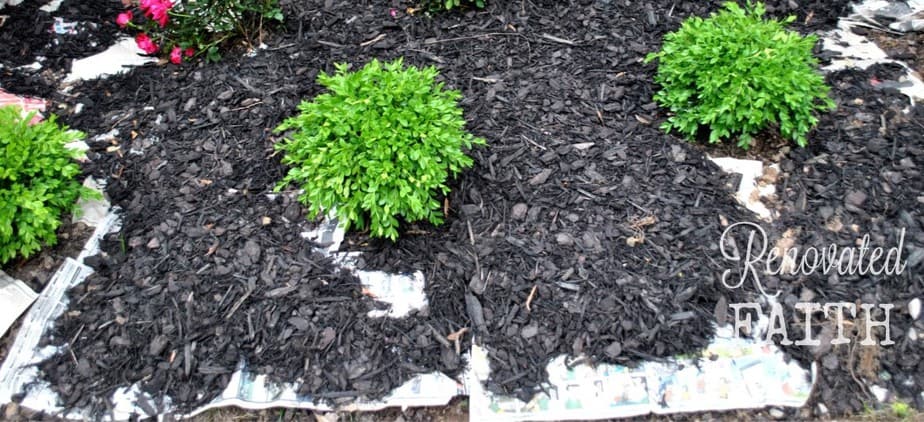 simple landscaping ideas using mulch