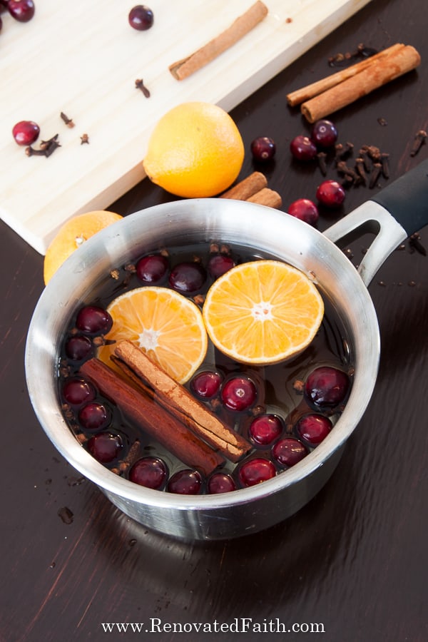 Stovetop Potpourri Recipe {God's Reaction When You Just Show Up}