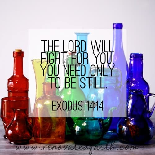 Exodus 14:14 - The Lord will fight for you. You need only to be still. Christian Anxiety Relief #anxiety #depression #hope #renovatedfaith #biblicalanxietyrelief
