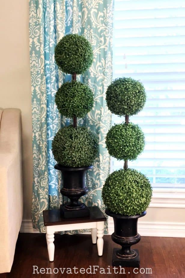 Make luxurious topiary garden to decorate on budget with greenery