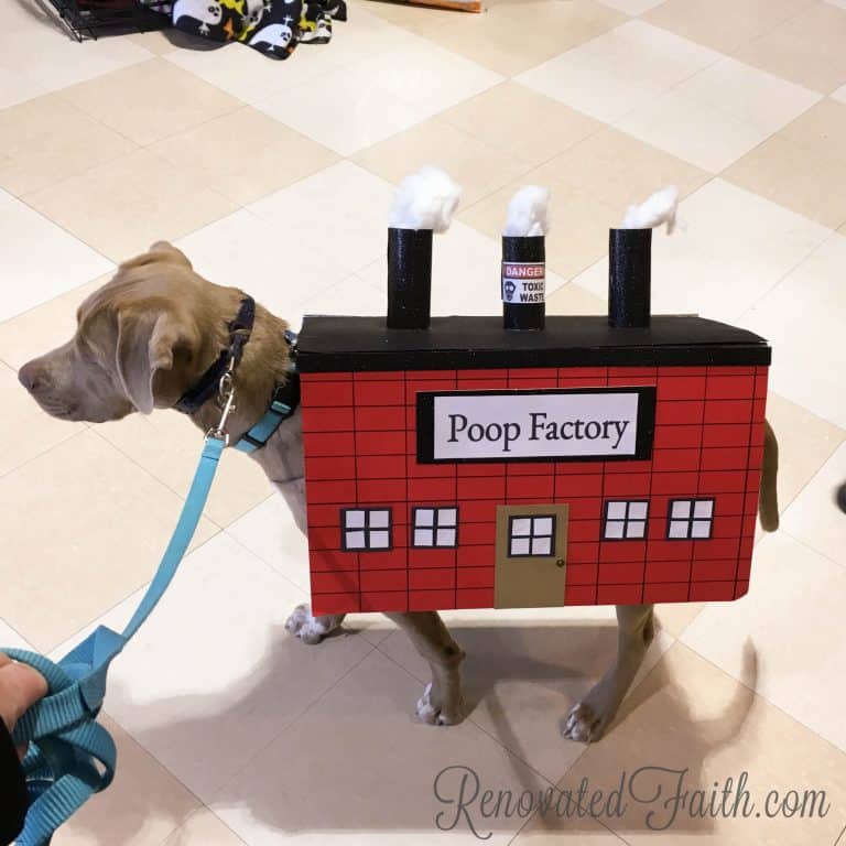 Poop Factory Dog Costume Renovated Faith