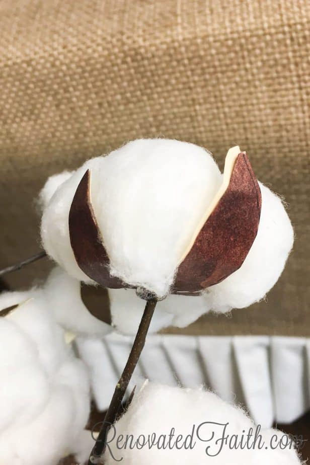 DIY Cotton Stems #farmhouse #cottonstems #diycotton