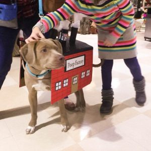 Poop Factory Dog Costume