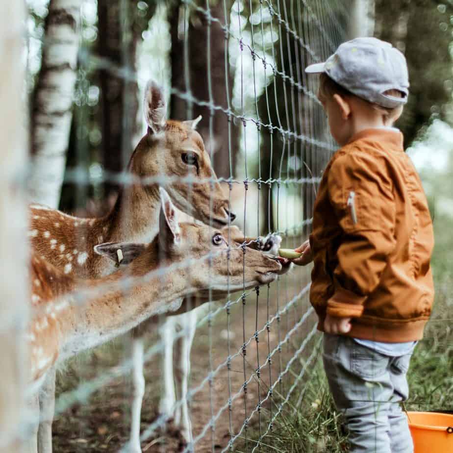 Parenting a Child with a Chronic Illness - As the mom of a child with a chronic illness, you feel your child is different.  He or she is definitely different but not for the reason you think.  Includes tips for friends and family when coping with chronic illness in the family.  When Your Child Has a Chronic Illness. #pediatricillness #autoimmuneneutropenia #whenyourchildisdifferent #longtermillness 