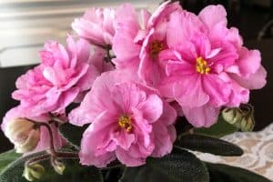 A well-meaning lady in the grocery store saw my daughter and said to me "enjoy every moment". Little did she know my daughter was in the midst of battling a chronic illness. If you find yourself filled with frustration when someone utters those words, I hope this post will provide you with some encouragement. #enjoyeverymoment #parenting #mommyguilt #renovatedfaith