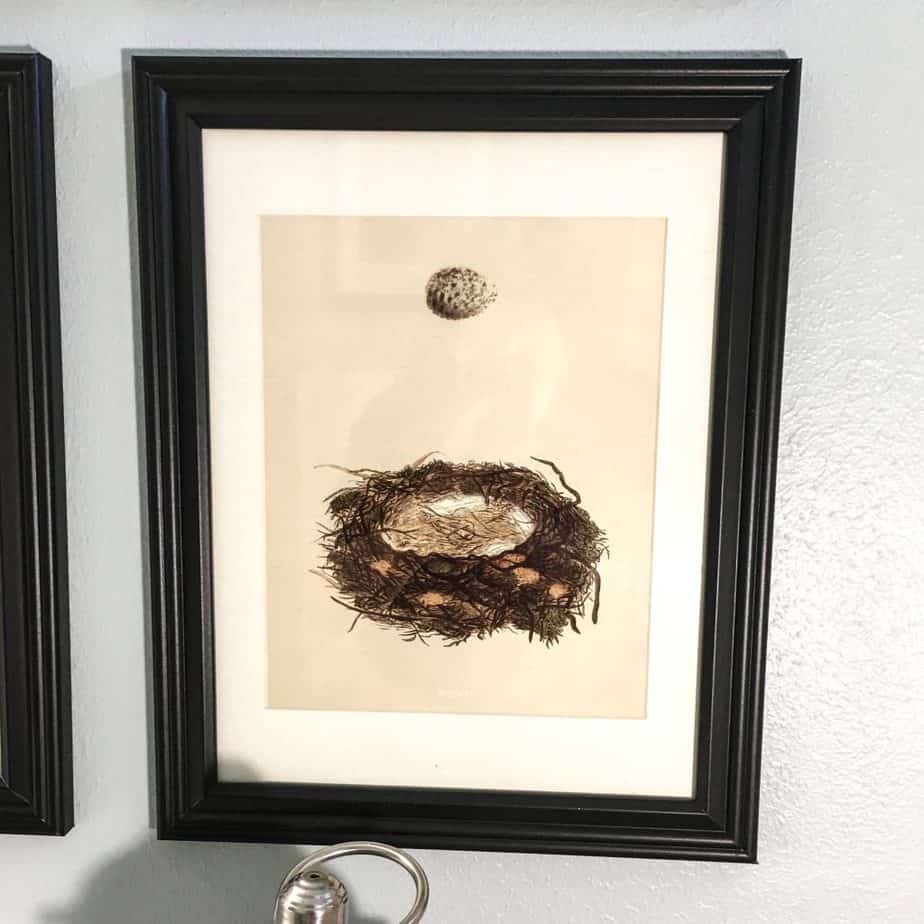 Bird Nest Decor / DIY Framed Nest Art - What is it about bird's nests that are so inviting? Maybe it's the hint of spring or the thought of something new and wonderful on the horizon. This post will help you implement some bird's nest decor ideas in your home as well as make your own DIY framed nest art. #diyframedart #nestwallart #birdnestdecor #birdnest #renovatedfaith www.renovatedfaith.com