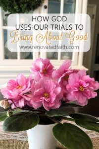 A well-meaning lady in the grocery store saw my daughter and said to me "enjoy every moment". Little did she know my daughter was in the midst of battling a chronic illness. If you find yourself filled with frustration when someone utters those words, I hope this post will provide you with some encouragement. #enjoyeverymoment #parenting #mommyguilt #renovatedfaith