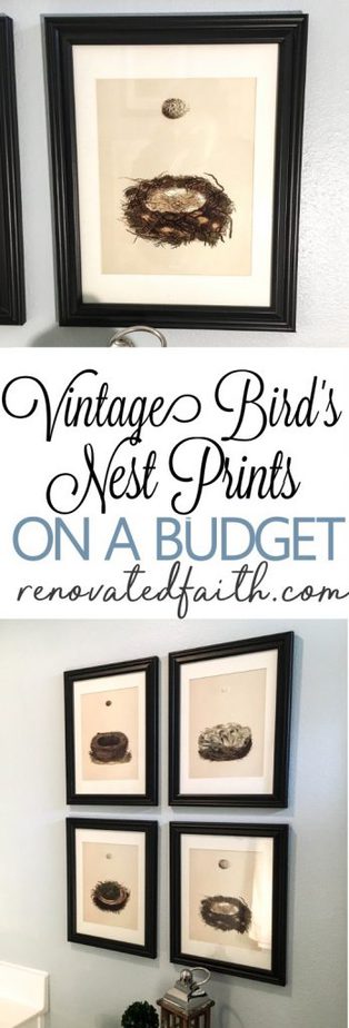 Bird Nest Decor / DIY Framed Nest Art - What is it about bird's nests that are so inviting? Maybe it's the hint of spring or the thought of something new and wonderful on the horizon. This post will help you implement some bird's nest decor ideas in your home as well as make your own DIY framed nest art. #diyframedart #nestwallart #birdnestdecor #birdnest #renovatedfaith www.renovatedfaith.com