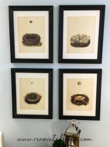 Bird Nest Decor / DIY Framed Nest Art - What is it about bird's nests that are so inviting? Maybe it's the hint of spring or the thought of something new and wonderful on the horizon. This post will help you implement some bird's nest decor ideas in your home as well as make your own DIY framed nest art. #diyframedart #nestwallart #birdnestdecor #birdnest #renovatedfaith www.renovatedfaith.com