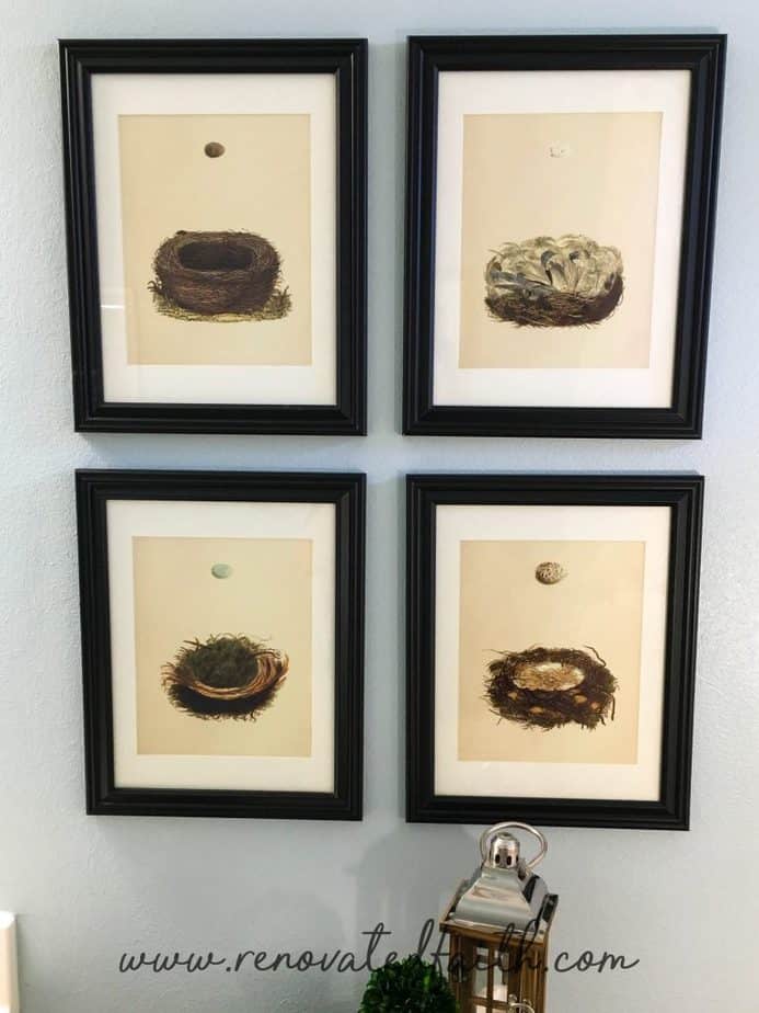 Bird Nest Decor / DIY Framed Nest Art - What is it about bird's nests that are so inviting? Maybe it's the hint of spring or the thought of something new and wonderful on the horizon. This post will help you implement some bird's nest decor ideas in your home as well as make your own DIY framed nest art. #diyframedart #nestwallart #birdnestdecor #birdnest #renovatedfaith www.renovatedfaith.com