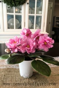 A well-meaning lady in the grocery store saw my daughter and said to me "enjoy every moment". Little did she know my daughter was in the midst of battling a chronic illness. If you find yourself filled with frustration when someone utters those words, I hope this post will provide you with some encouragement. #enjoyeverymoment #parenting #mommyguilt #renovatedfaith