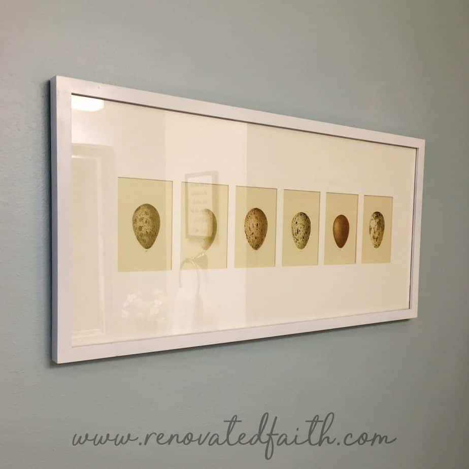 Bird Nest Decor / DIY Framed Nest Art - What is it about bird's nests that are so inviting? Maybe it's the hint of spring or the thought of something new and wonderful on the horizon. This post will help you implement some bird's nest decor ideas in your home as well as make your own DIY framed nest art. #diyframedart #nestwallart #birdnestdecor #birdnest #renovatedfaith www.renovatedfaith.com