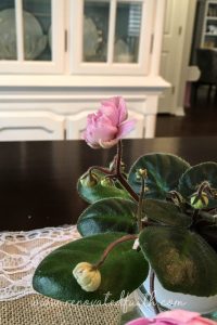A well-meaning lady in the grocery store saw my daughter and said to me "enjoy every moment". Little did she know my daughter was in the midst of battling a chronic illness. If you find yourself filled with frustration when someone utters those words, I hope this post will provide you with some encouragement. #enjoyeverymoment #parenting #mommyguilt #renovatedfaith