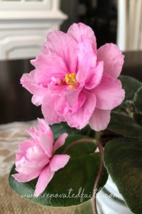 A well-meaning lady in the grocery store saw my daughter and said to me "enjoy every moment". Little did she know my daughter was in the midst of battling a chronic illness. If you find yourself filled with frustration when someone utters those words, I hope this post will provide you with some encouragement. #enjoyeverymoment #parenting #mommyguilt #renovatedfaith