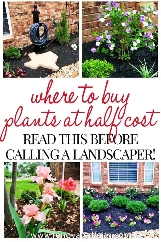 50 Easy Landscaping Ideas For The Front, Florida Landscaping Ideas On A Budget