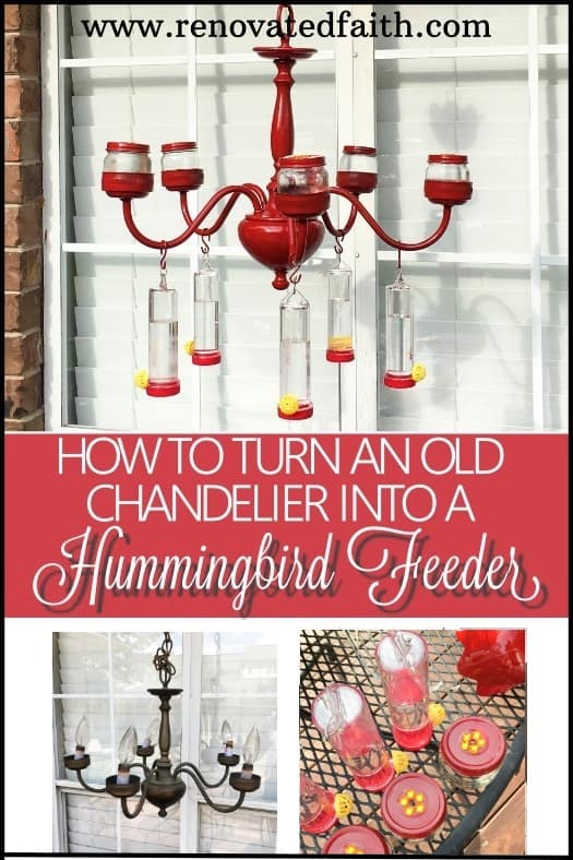 diy hummingbird feeder