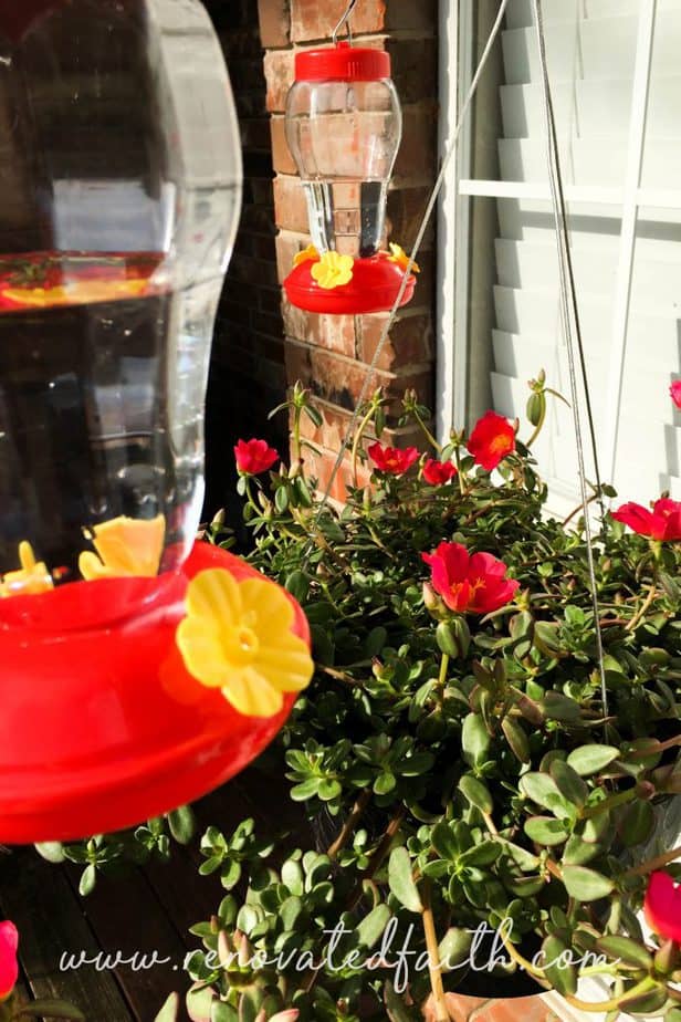 diy hummingbird feeder