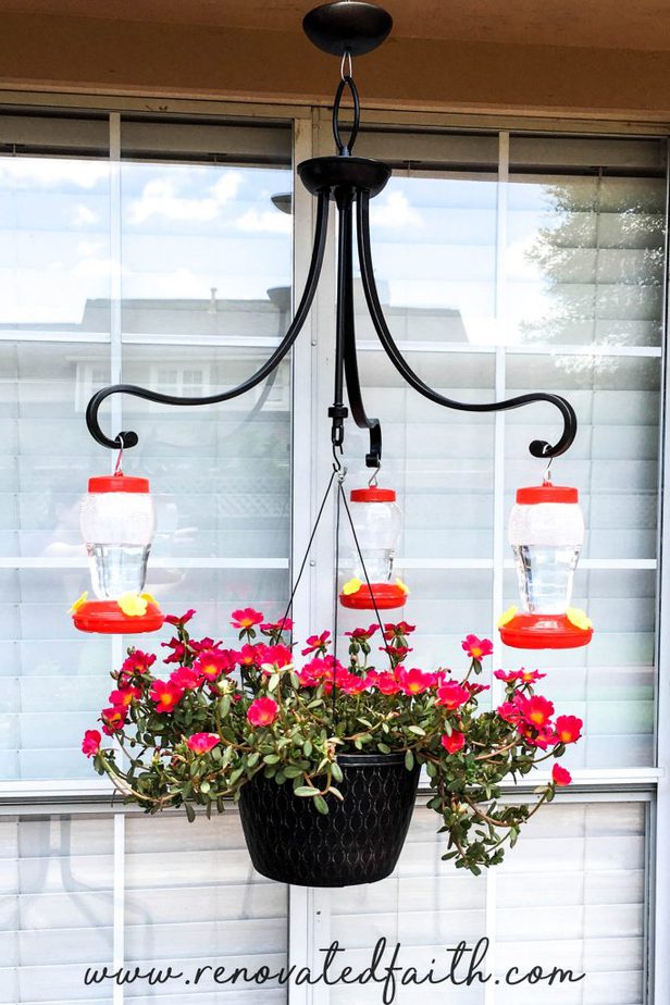 diy hummingbird feeder