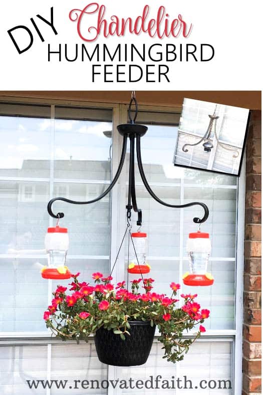 diy hummingbird feeder