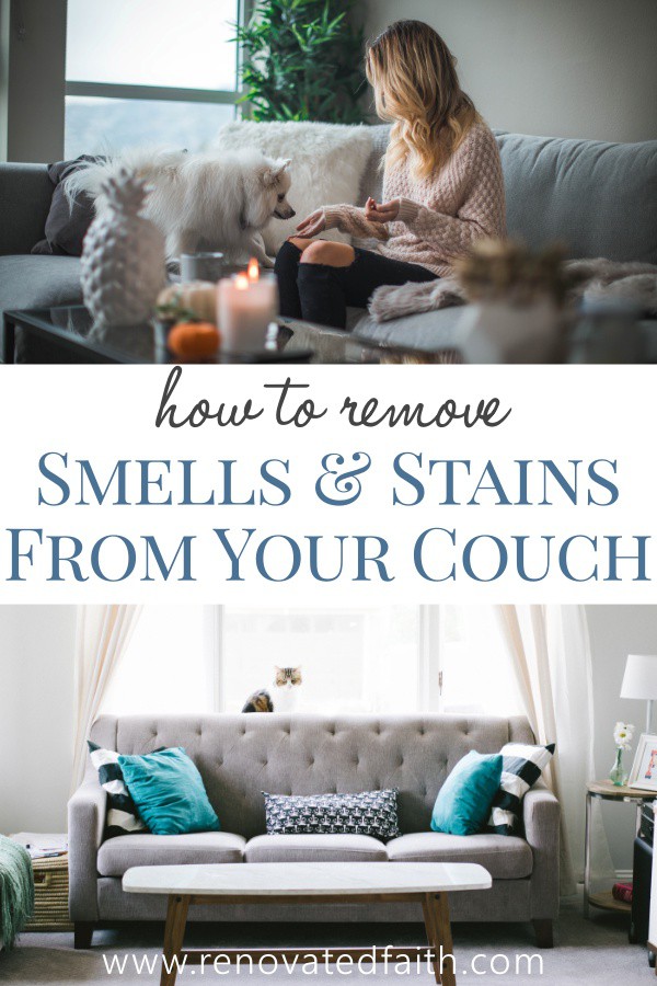 My Sofa Smells Musty / 6 Best Ways To Clean A Leather Sofa Musty