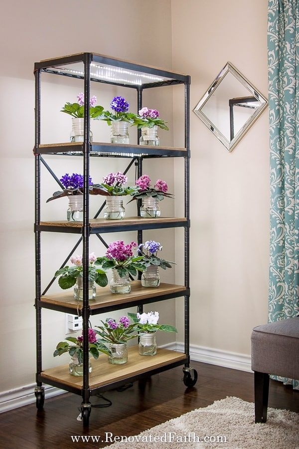 plant shelf with lights