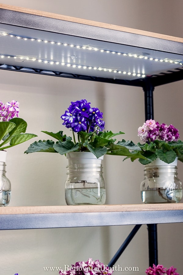 EASIEST DIY Grow Light Shelves For Indoor Plants Seedlings