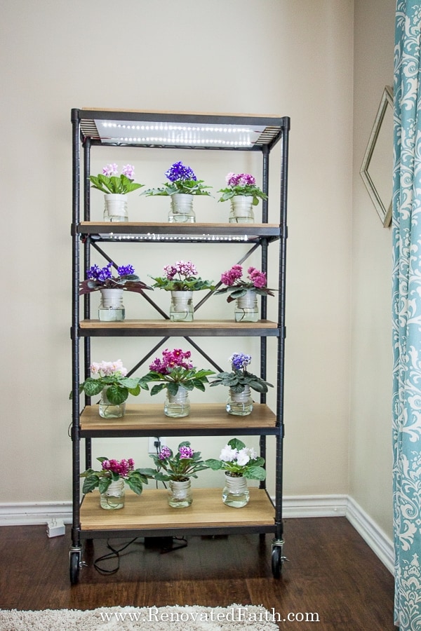 EASIEST DIY Grow Light Shelves For Indoor Plants Seedlings