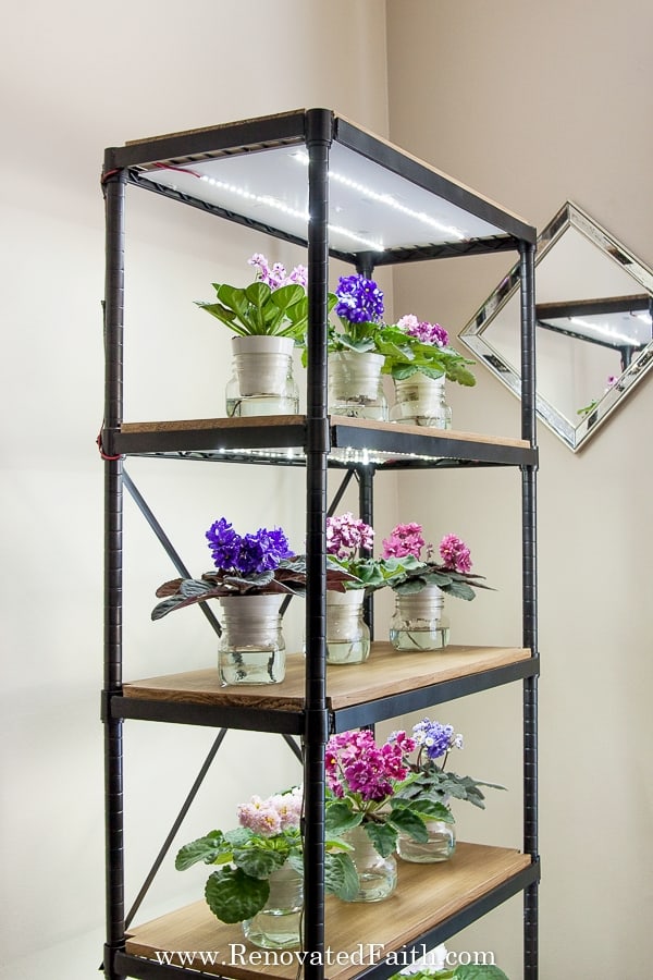 EASIEST DIY Grow Light Shelves For Indoor Plants Seedlings