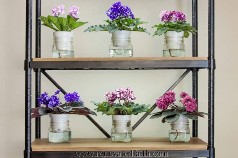 EASIEST DIY Grow Light Shelves (For Indoor Plants & Seedlings)