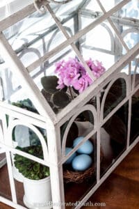 terrarium with african violet
