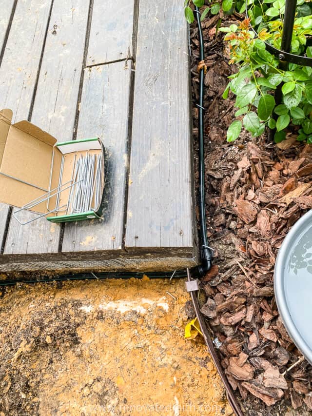 How to Set Up Drip Irrigation for Potted Plants (Beginner Guide)