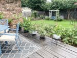 How to Set Up Drip Irrigation for Potted Plants (Beginner Guide)