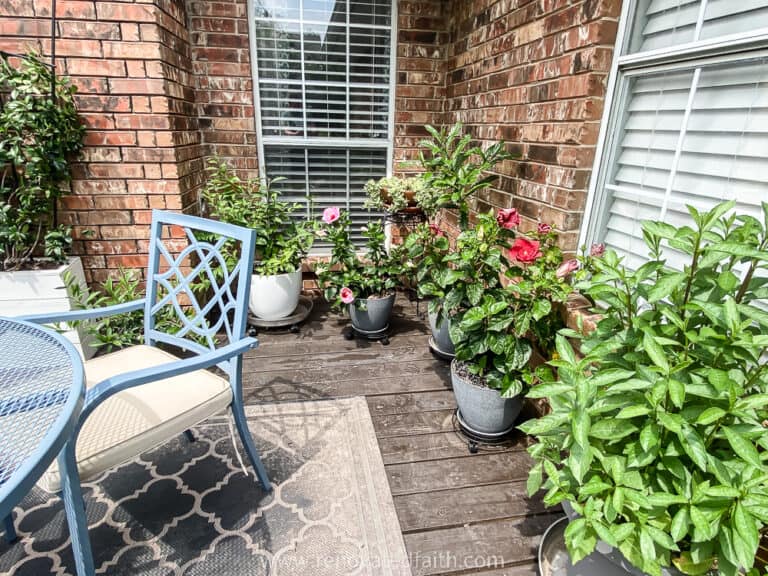How to Set Up Drip Irrigation for Potted Plants (Beginner Guide)