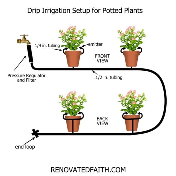 How to Set Up Drip Irrigation for Potted Plants (Beginner Guide)