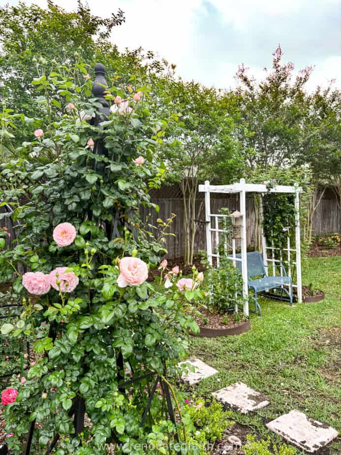flower bed with blue swing