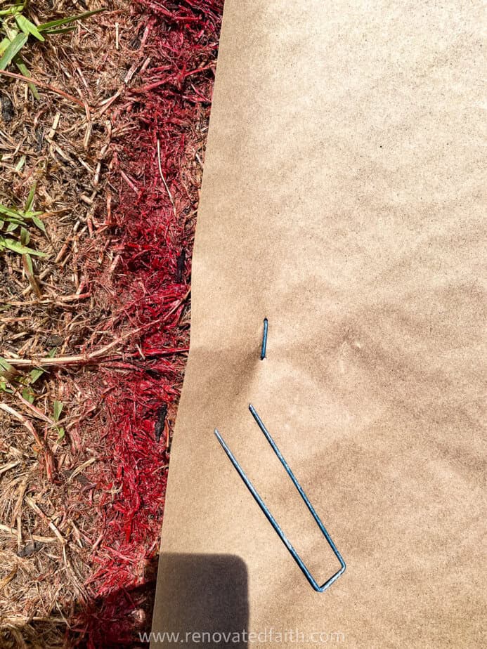 use lawn staples to secure the kraft paper