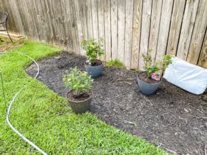 how to build a mound flower bed with a hose