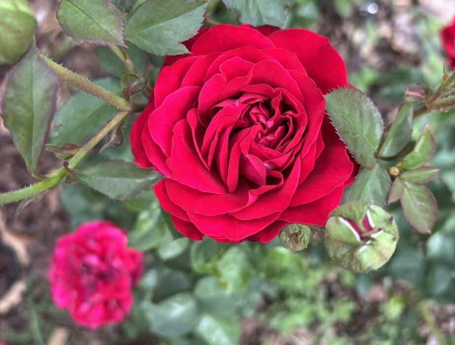 It’s Time to Leave the Results to God (Why Your DIY Approach To Life is Exhausting You)