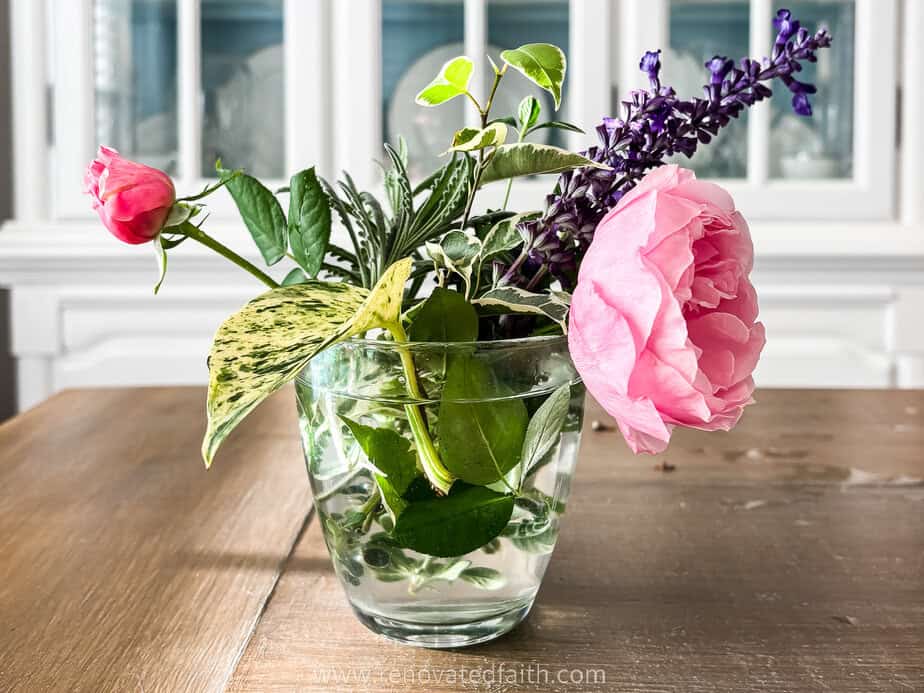 How to Start Plants From Cuttings In Soil (Faster Than Water!)