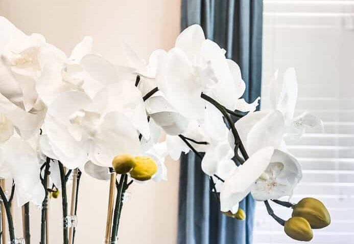 Easy DIY Orchid Arrangement (For Less Than $50)